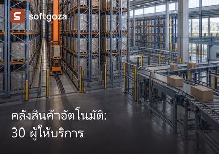 คลังสินค้าอัตโนมัติ: 30 ผู้ให้บริการ